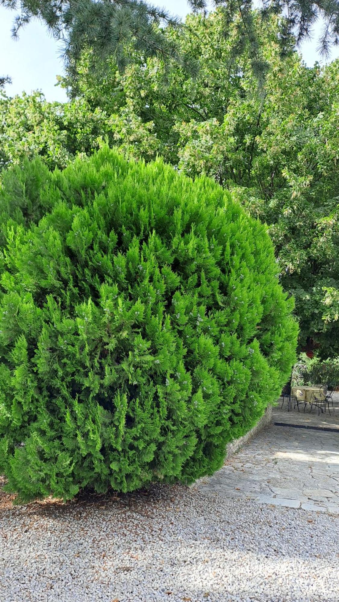 Le Gite Calluna Sablet エクステリア 写真